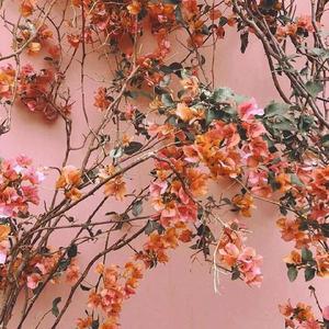 扣扣传媒极品暴力肛交深喉
